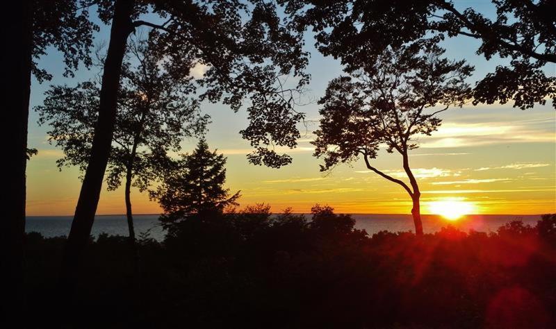 Pet-Friendly One Crow Cottage In Harbor Springs! エクステリア 写真
